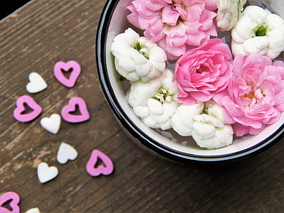 bowl of white and pink petaled flowers thumbnail