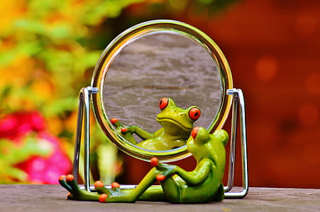 green frog looking at mirror thumbnail