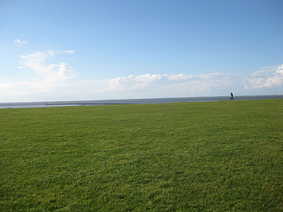 green lawn grass under cloudy sky thumbnail