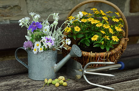 yellow, white, and purple flowers on white wooden surface thumbnail