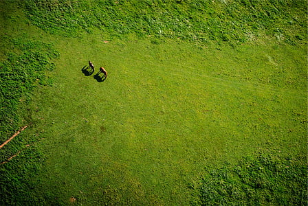 aerial view of grass field thumbnail