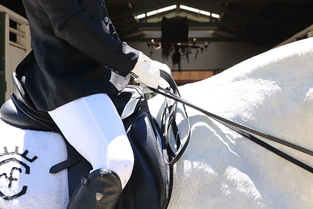 person riding on white horse thumbnail