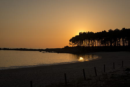 silhouette of trees overlooking sunset thumbnail