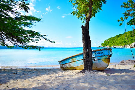 boat near tree and seashore photo thumbnail