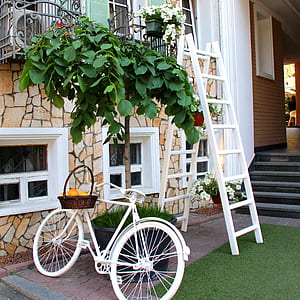 White Step Through Bicycle Leaning Beside Tree Plant thumbnail