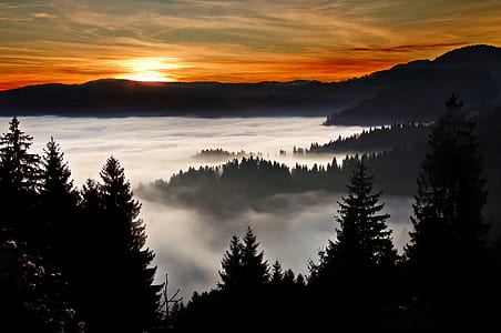 Silhouette Photography of Trees and Mountain thumbnail