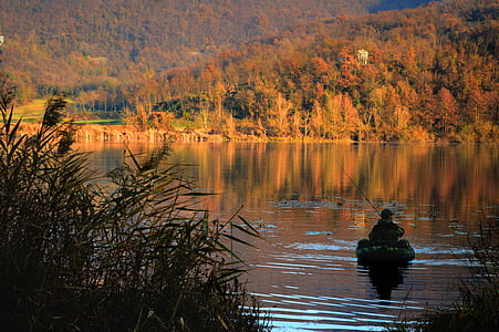 person on boat during daytime while fishes thumbnail