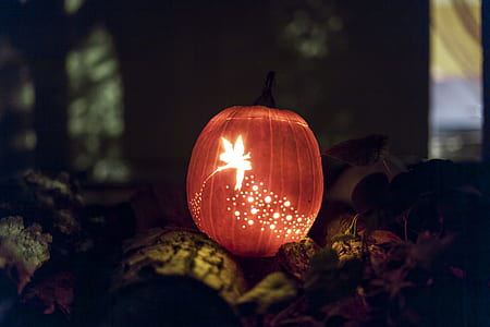 brown lighted pumpkin decor thumbnail