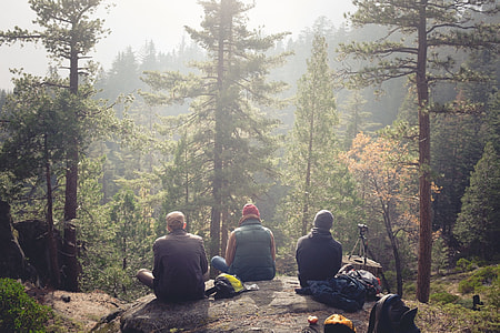three man sitting on gray rock facing on lot of trees thumbnail