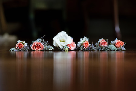 shallow focus photography of flowers thumbnail
