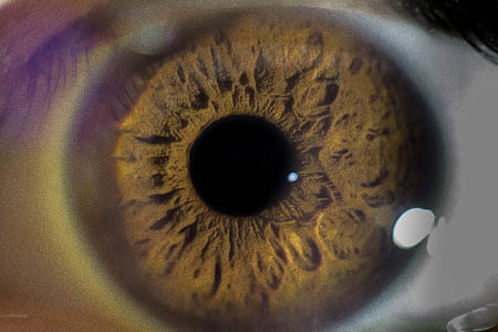 brown human eye thumbnail