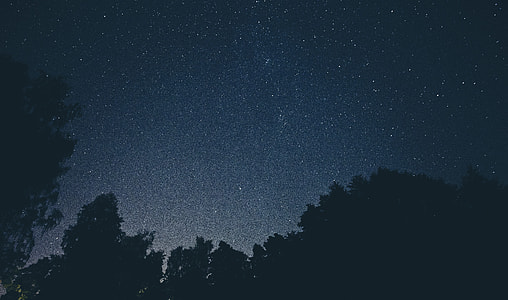 silhouette photo of stars thumbnail