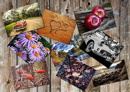 assorted photos thumbnail