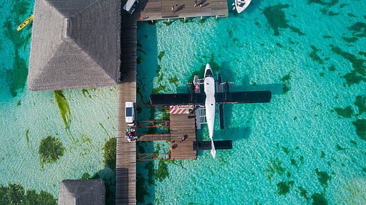 parked white and black airplane thumbnail