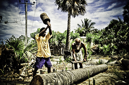 People Chopping Trees in Sri Lanka thumbnail