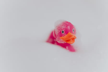 Pink rubber ducky in foam thumbnail
