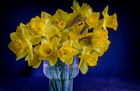 yellow petaled flower arrangement thumbnail
