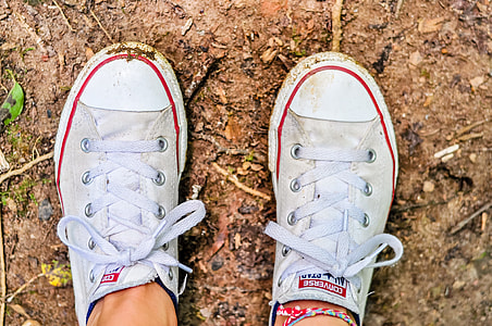 person wearing white Converse All-Star low-top sneakers thumbnail