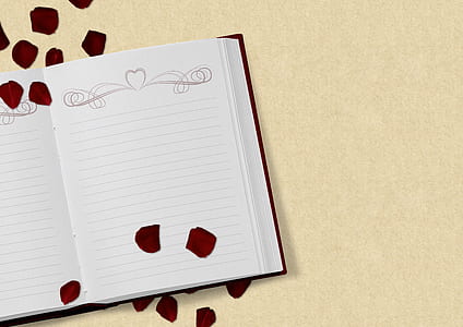 white ruled book with red flower petals thumbnail