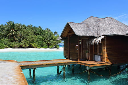 cottage in the middle of the beach thumbnail