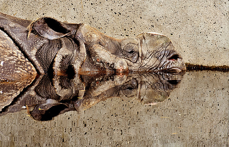 closeup photo of brown wooden tribal decor thumbnail