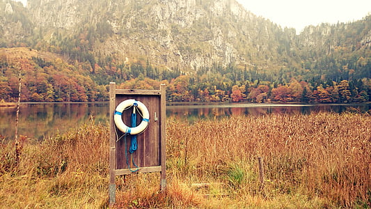 round white and blue life ring hanging on board thumbnail