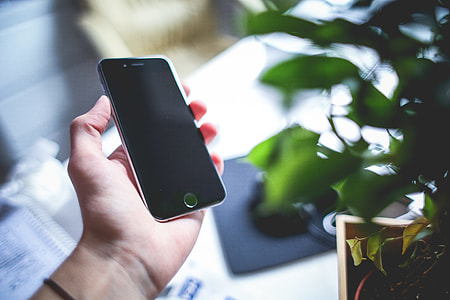 iPhone 6 Space Gray in Green Leaves thumbnail