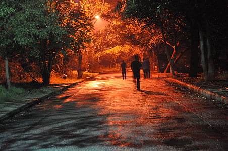 man walking on road near trees thumbnail