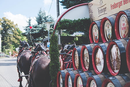 close-up photo of Freiberger barrel lot in horse carriage thumbnail