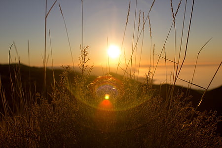 field and mountains at the distance during golden hour thumbnail