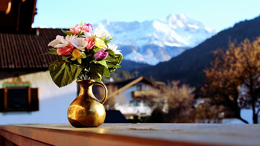 white, purple, and red potted flowers thumbnail