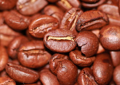 macro shot photography of black coffee beans thumbnail