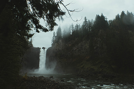 waterfalls surrounded by trees thumbnail
