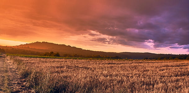 dawn, landscape, nature, sky thumbnail