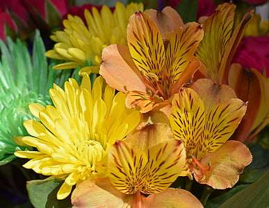 orange Peruvian lilies and green and yellow chrysanthemums bouquet closeup photography thumbnail