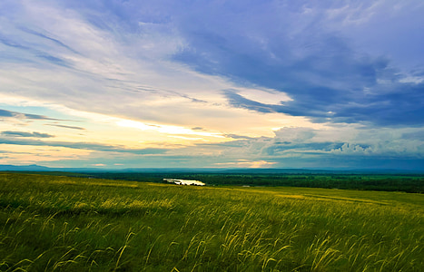 green grass field thumbnail