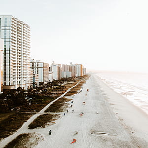 people on walking on beach thumbnail