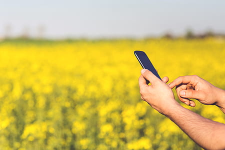 Smartphone Acer Jade S in the hands of a man on a background of yellow flowers thumbnail