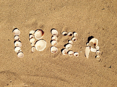 seashells on white sand thumbnail