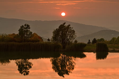 green leafed tree near body of water thumbnail