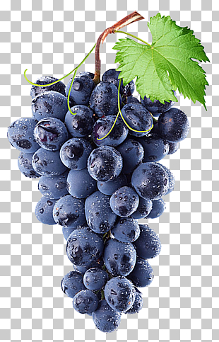 Common Grape Vine Wine Isabella Concord grape, Purple grape, grapes on tree branch PNG clipart