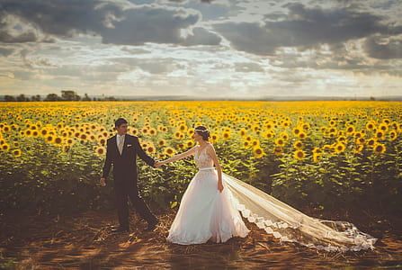 newly wedding couple walking near sunflower field under white clouds at daytime thumbnail