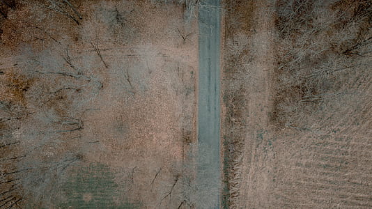 aerial view, road, track, tree thumbnail