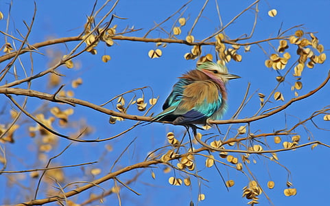 green, blue, and teal bird on tree trunk thumbnail