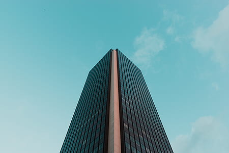 architectural photography of glass building thumbnail