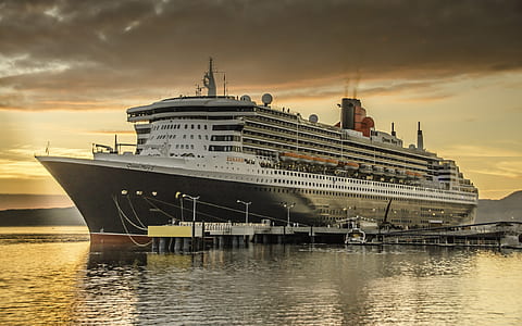 black and white cruise ship on docking station thumbnail