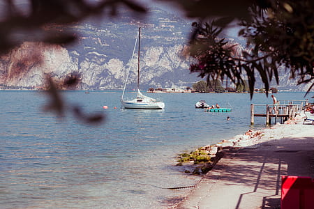 White Sail Boat on the Water thumbnail