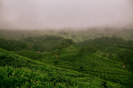 green field under blue sky photography thumbnail