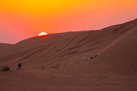 brown soil during golden hours thumbnail