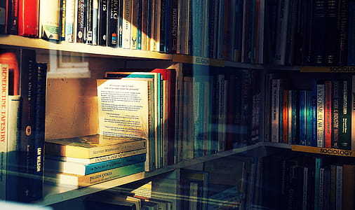 Photography of Books On Bookshelf thumbnail